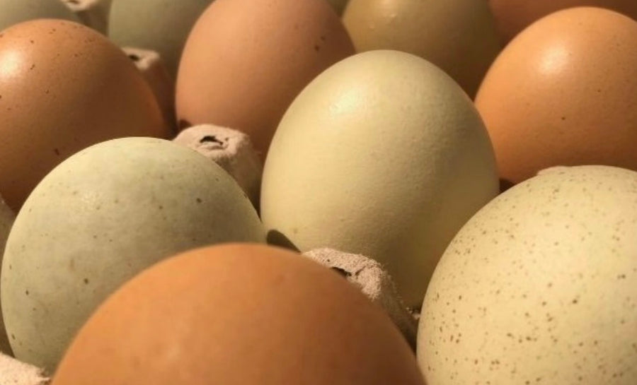 Huevos