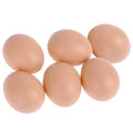 Huevos Falsos para Gallinas Pack 6 | Estimulación de Postura uso en Nidos