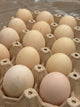 Huevos Ayam Cemani FERTILES (unidad)