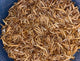Tenebrios deshidratados 30G
