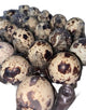 Huevos de codorniz 24 unidades