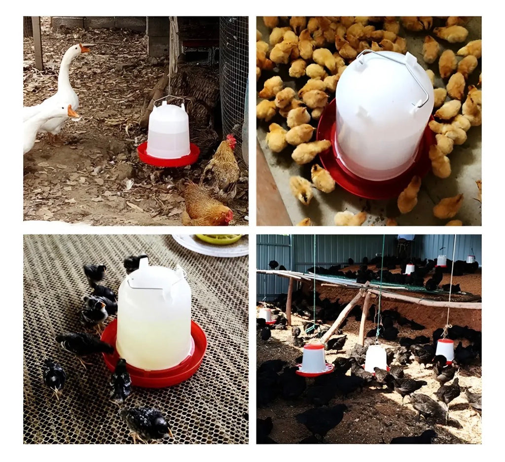 Bebedero Automático para Aves de 8 Litros