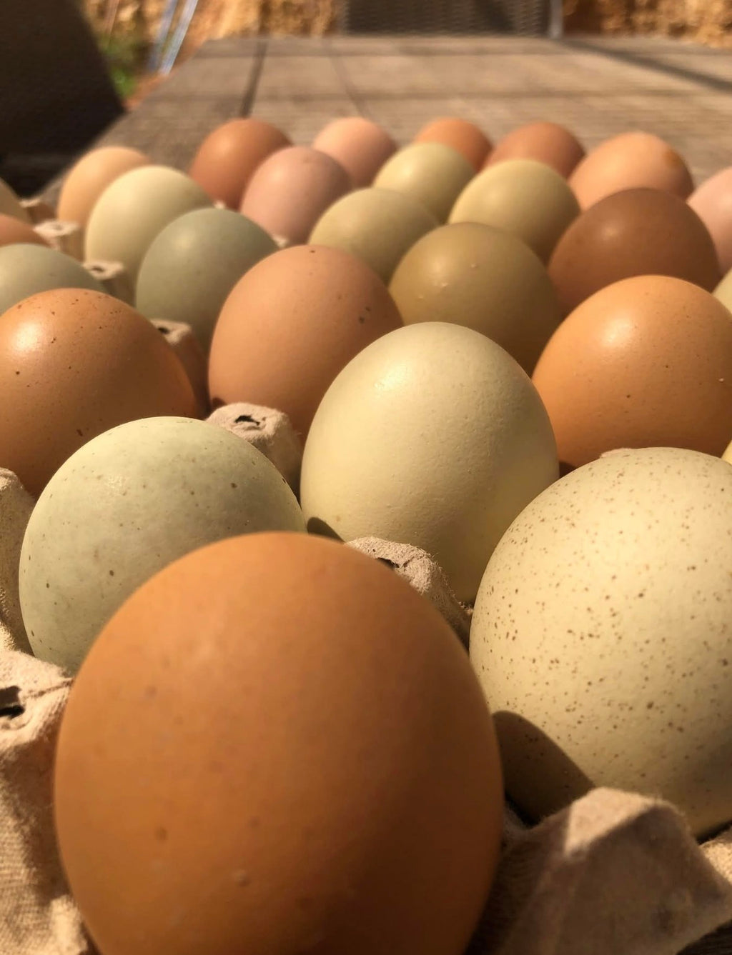 Huevo Fértil de Gallina Criolla (Unidad)