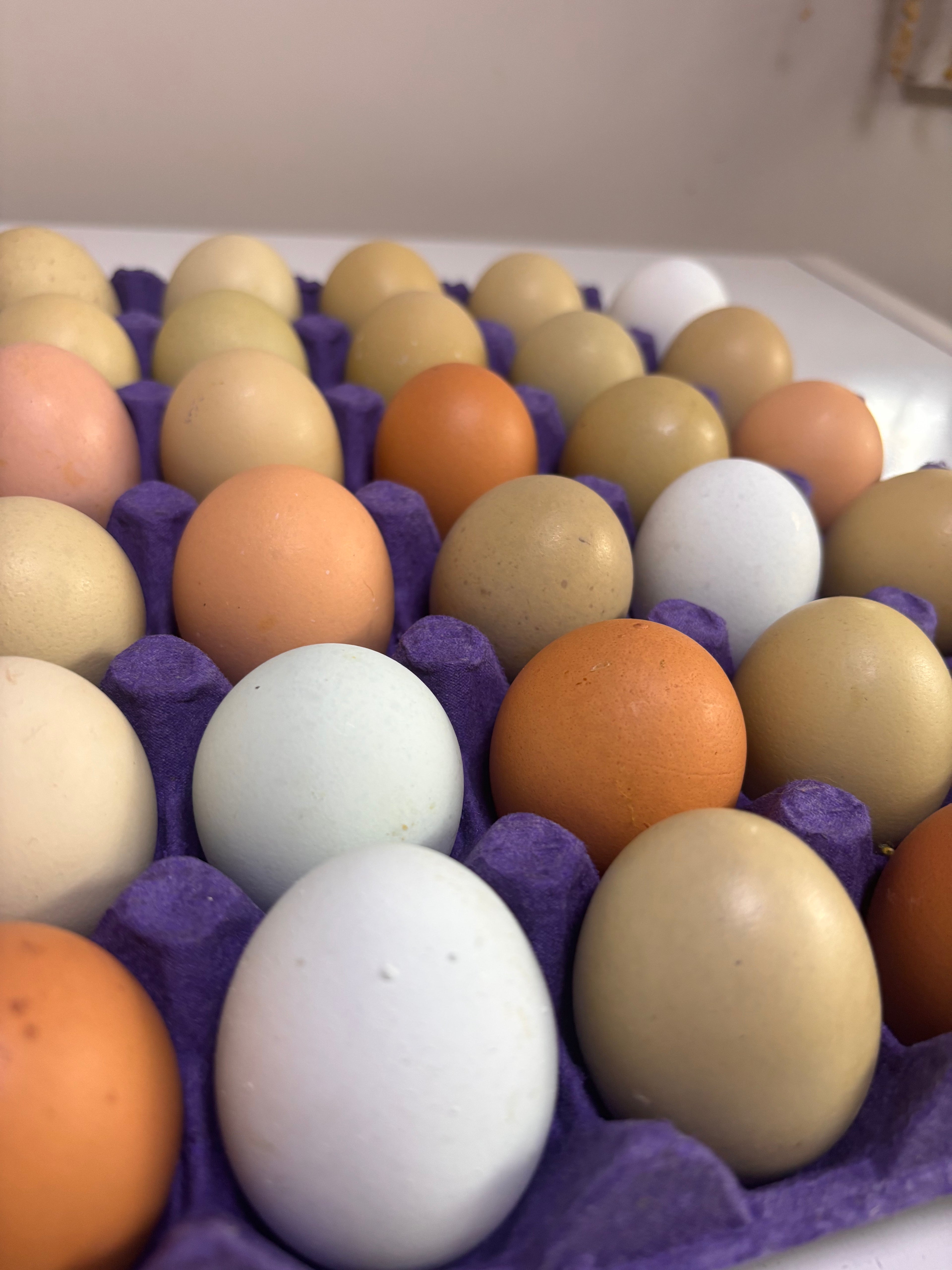 Huevos de gallina 30 unidades